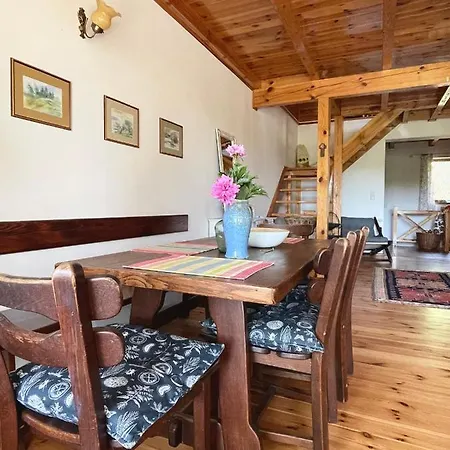Anika Dom W Lesie Nad Jeziorem Slupinko Holiday home Dziemiany