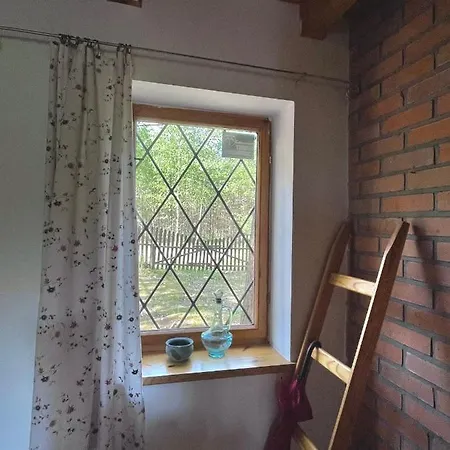 Anika Dom W Lesie Nad Jeziorem Slupinko Holiday home