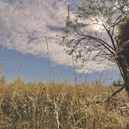 Anika Dom W Lesie Nad Jeziorem Slupinko *
