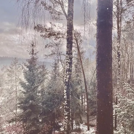 Holiday home Anika Dom W Lesie Nad Jeziorem Slupinko *