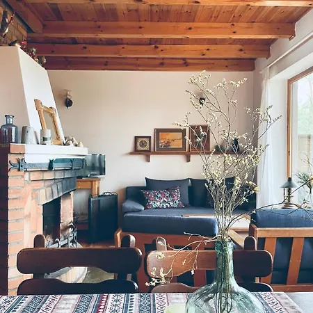 Anika Dom W Lesie Nad Jeziorem Slupinko Holiday home *