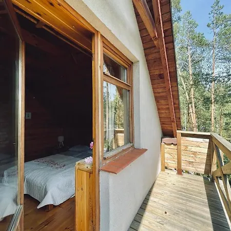 Anika Dom W Lesie Nad Jeziorem Slupinko Dziemiany