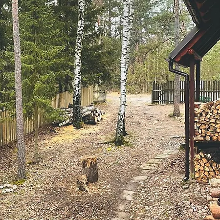 Anika Dom W Lesie Nad Jeziorem Slupinko * Dziemiany