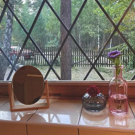 Anika Dom W Lesie Nad Jeziorem Slupinko