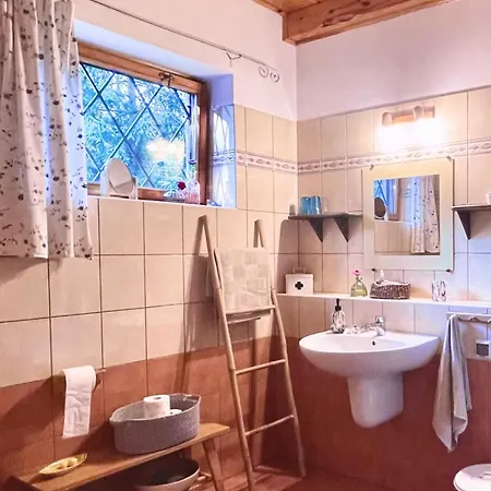 Anika Dom W Lesie Nad Jeziorem Slupinko *