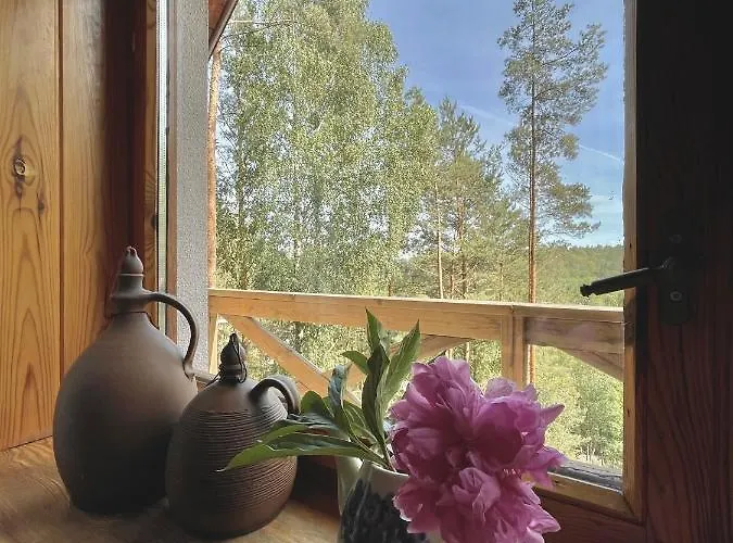 Anika Dom W Lesie Nad Jeziorem Slupinko * Dziemiany