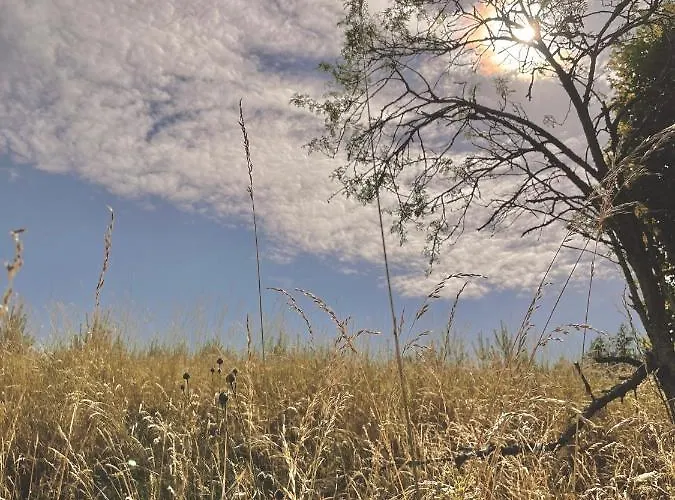 Anika Dom W Lesie Nad Jeziorem Slupinko *