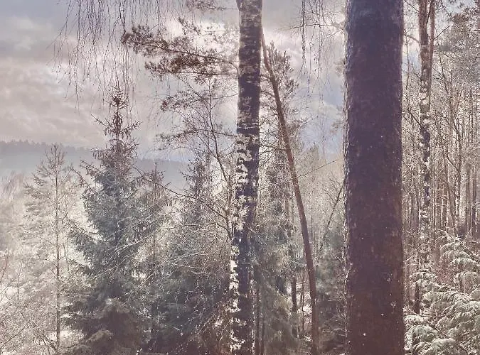 Semesterbostad Anika Dom W Lesie Nad Jeziorem Slupinko *