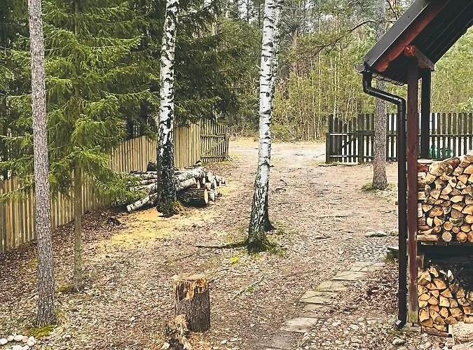 Anika Dom W Lesie Nad Jeziorem Slupinko * Dziemiany