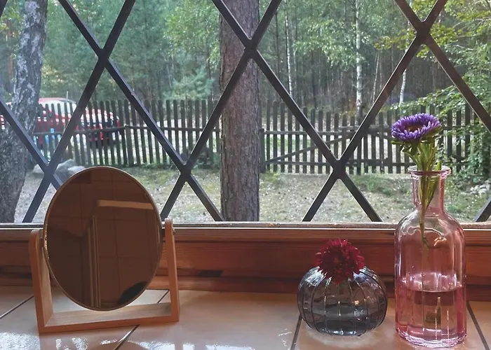 Anika Dom W Lesie Nad Jeziorem Slupinko